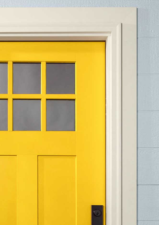 statement front door in yellow